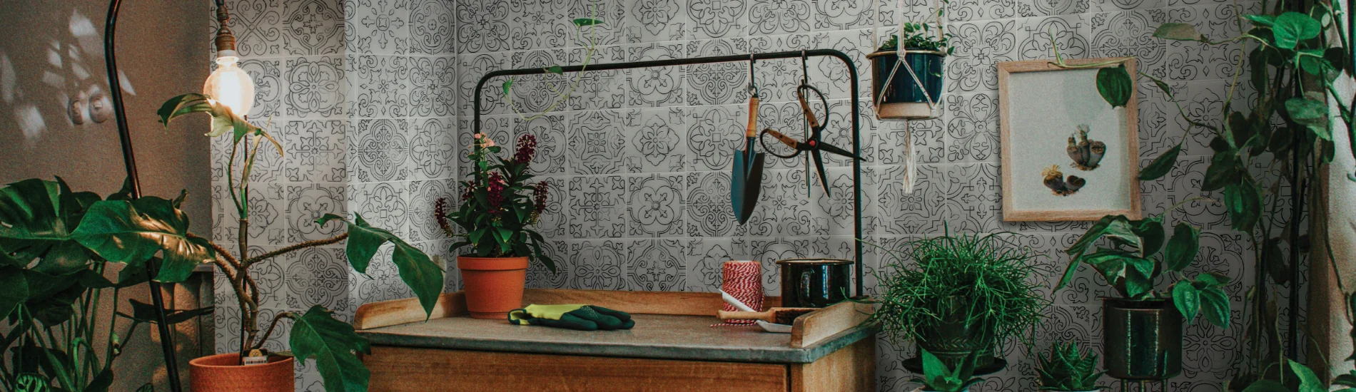 Stunning Renovations Made Simple